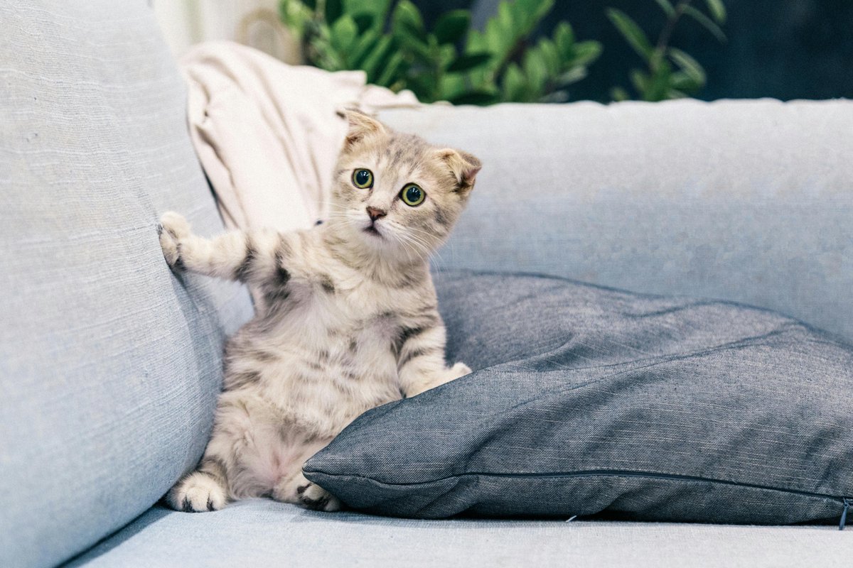 allbeddingdepot's tweet image. Upgrade your comfort with premium bedding essentials—soft, stylish, and made for better sleep. Shop now and transform your bedroom today!

allbeddingdepot.com

#BeddingEssentials #HomeComfort #SleepBetter #BedroomStyle #CozyLiving #LuxuryBedding #HomeUpgrade #RestEasy