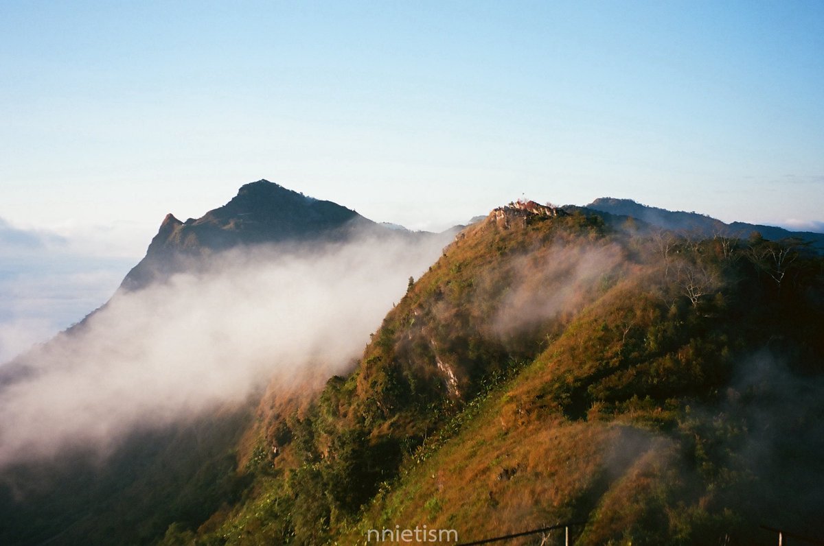 ❦ 𝓃 tweet media