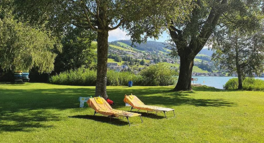 Nicola Amadio tweet media