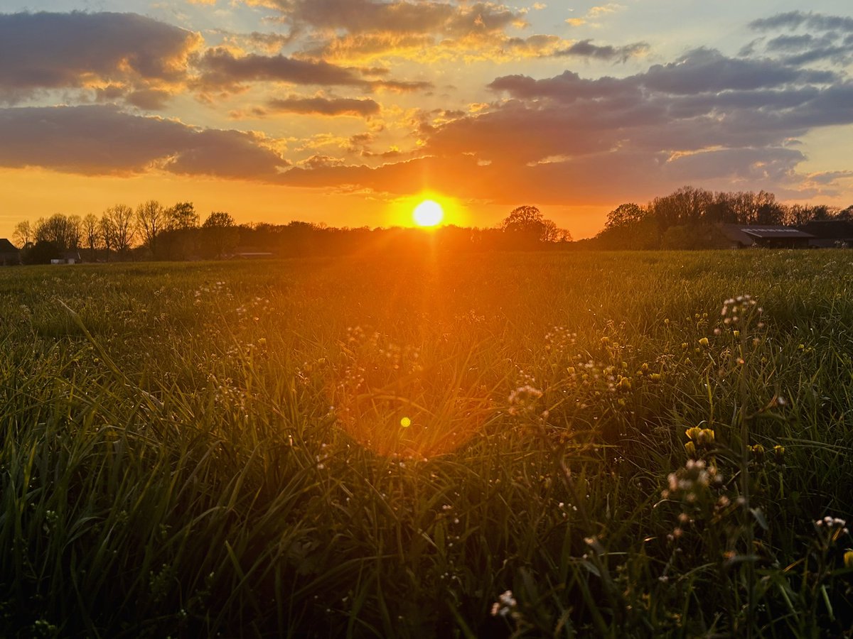 Geertjan_Oxe's tweet image. Drukte op het land zorgt wel voor mooie plaatjes ☺️

#voorjaar
#FarmLife