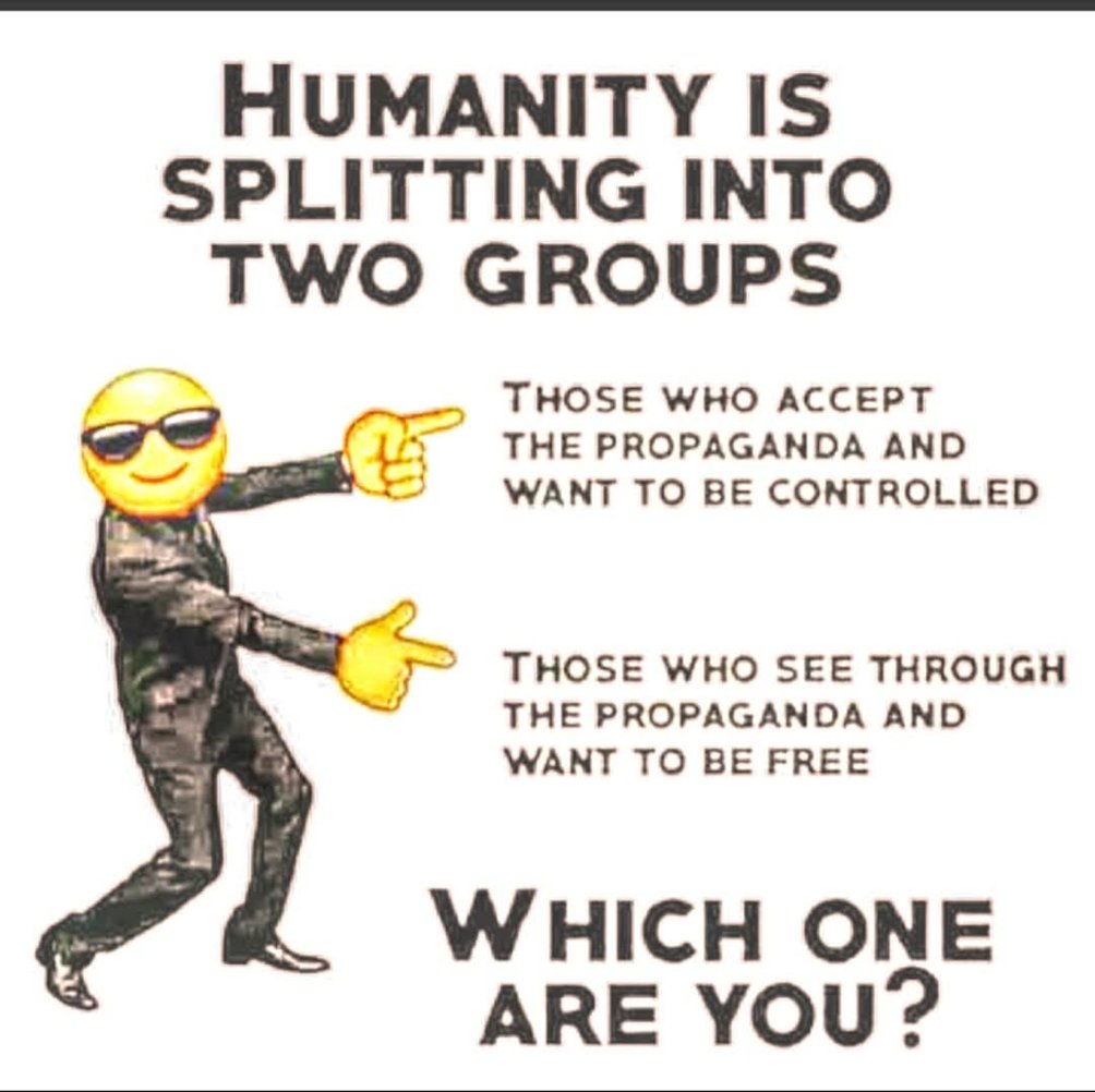 Anu Lindqvist tweet media