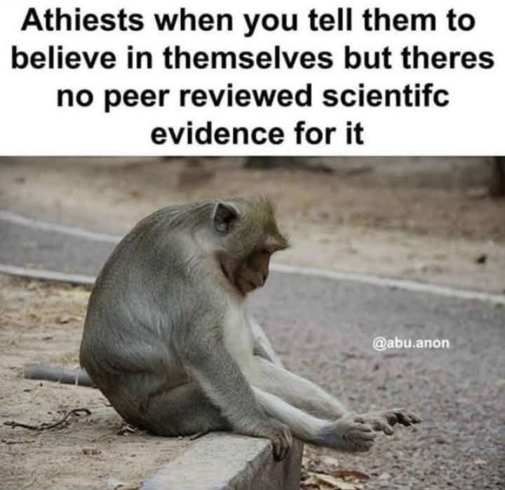 Not Evolution tweet media