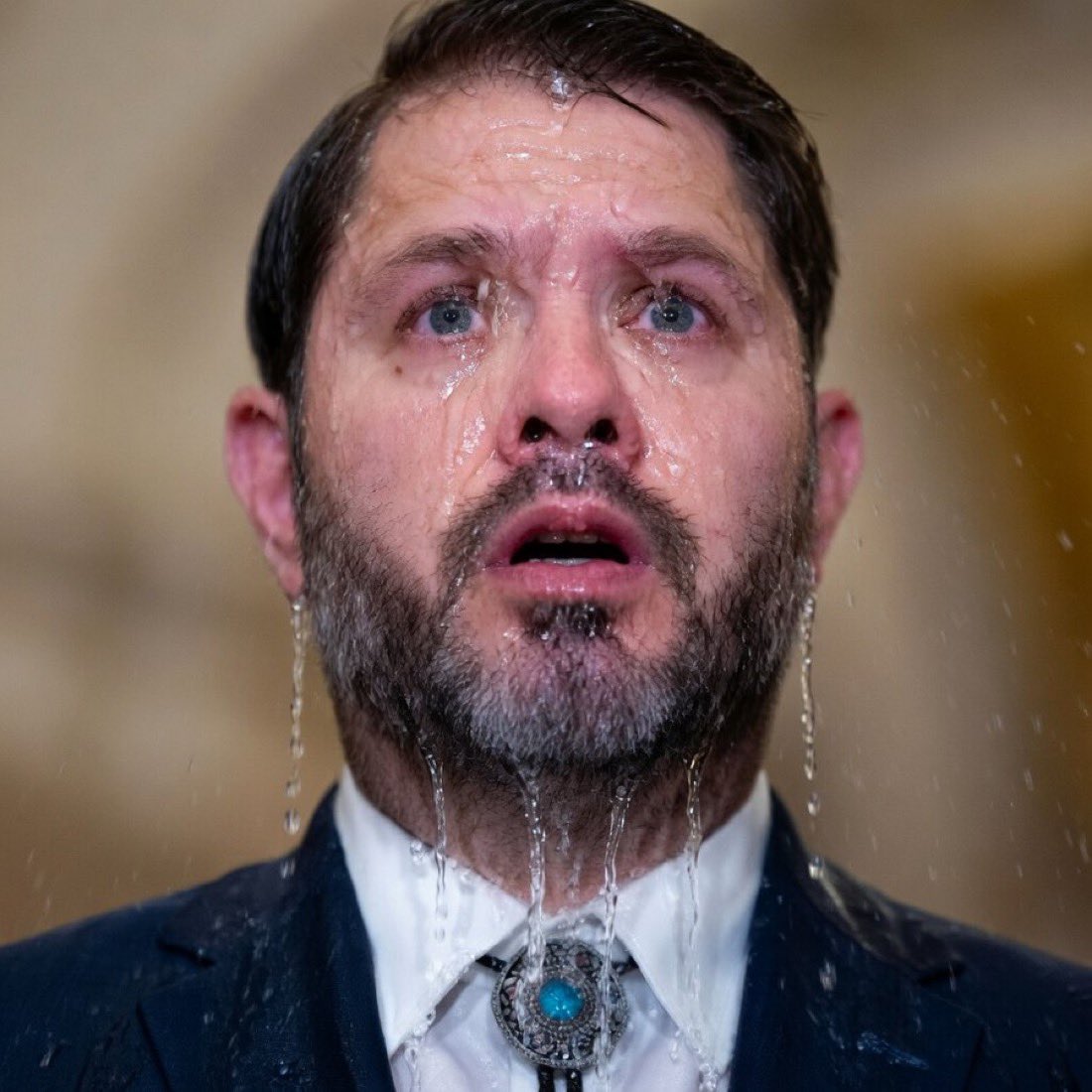 Rochellemaryn 🌹🕊️ tweet media