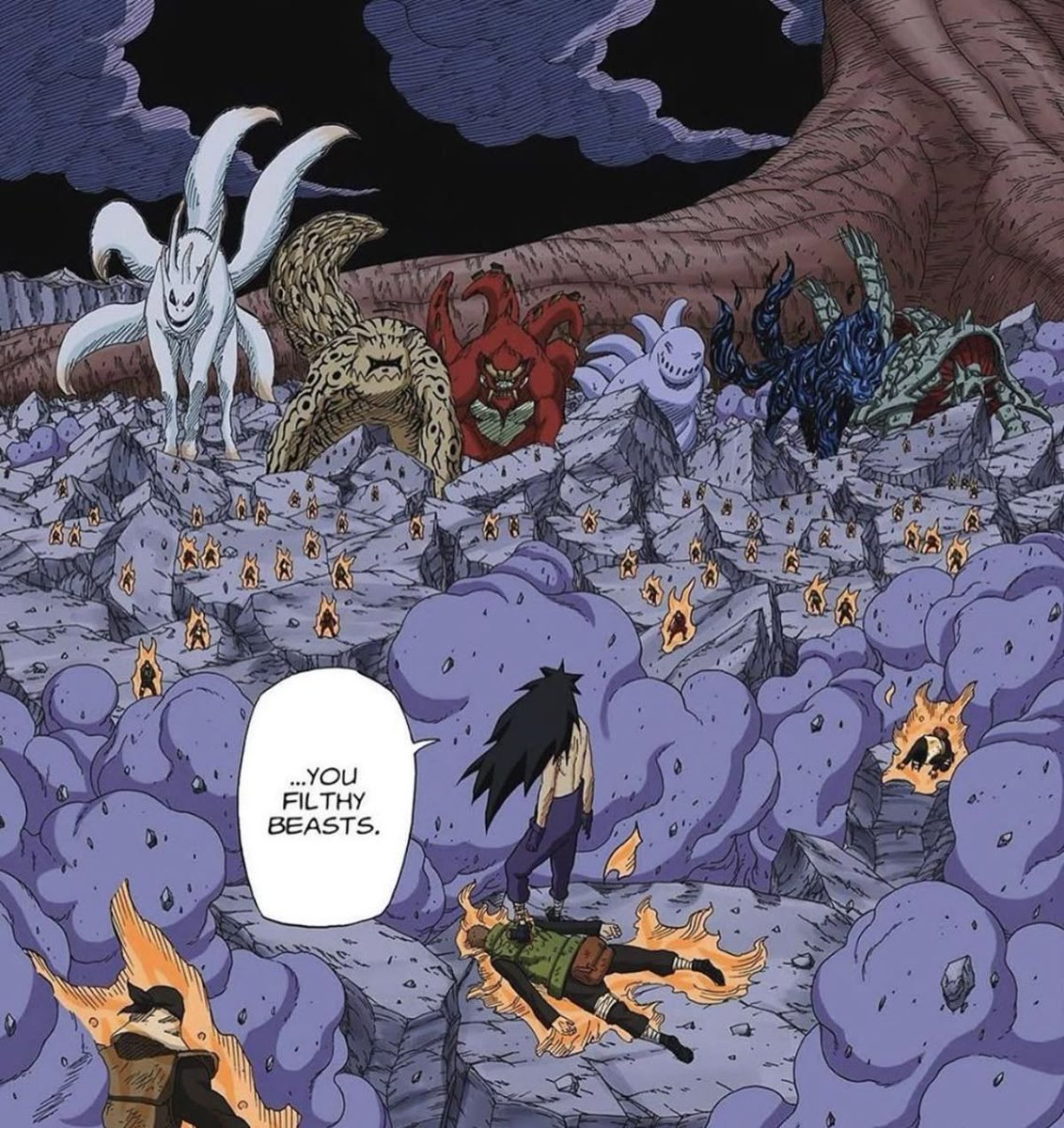 II’fenomeno tweet media