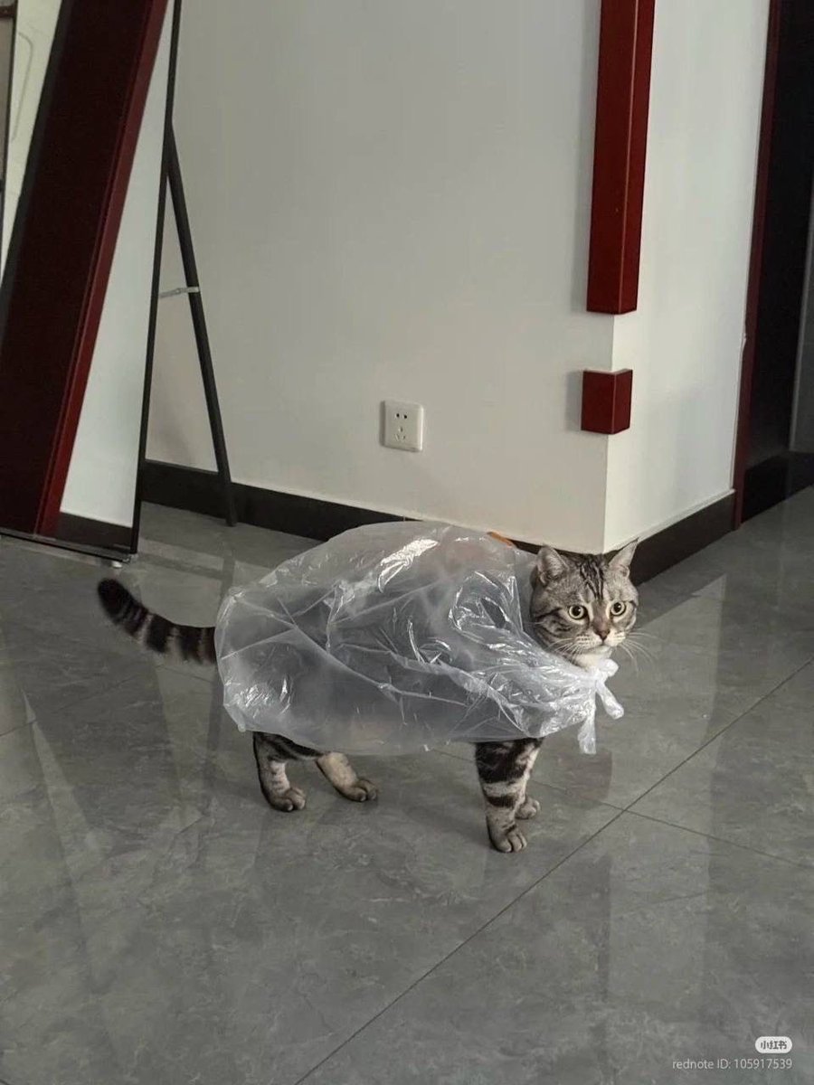 twaniimals's tweet photo. https://t.co/lHwiJQ6SDG