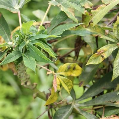 BioTech Breakthrough tweet media