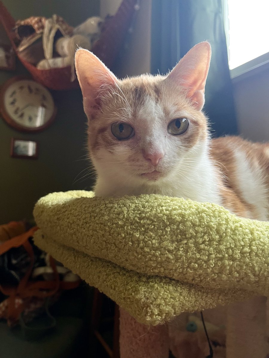 norberg & co tweet media