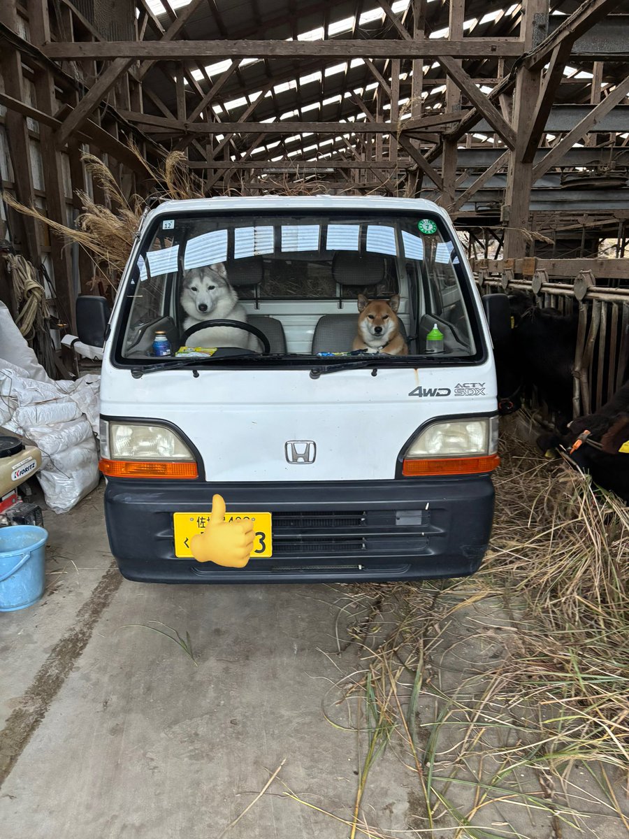 Joefish 🐏 tweet media