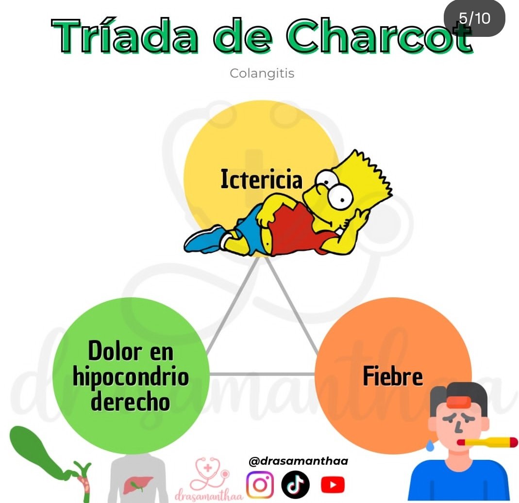 Secretaria de Docencia tweet media