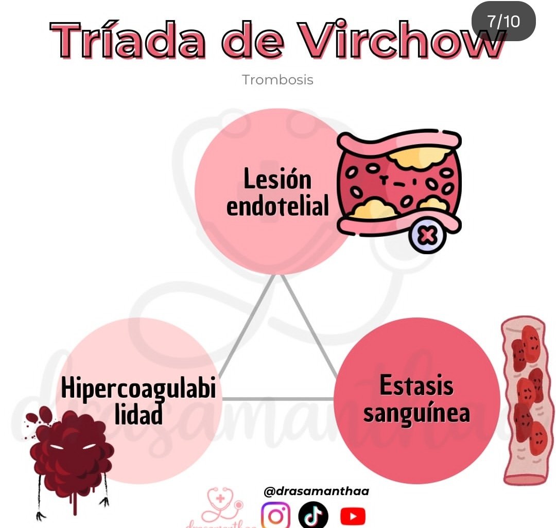 Secretaria de Docencia tweet media