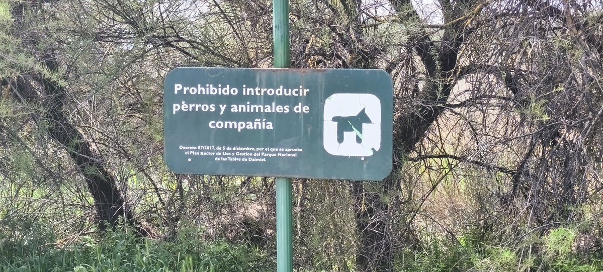 Sra. Laura tweet media