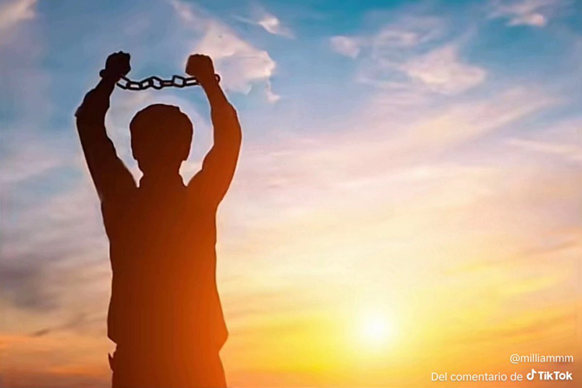 Manu🇵🇱 tweet media