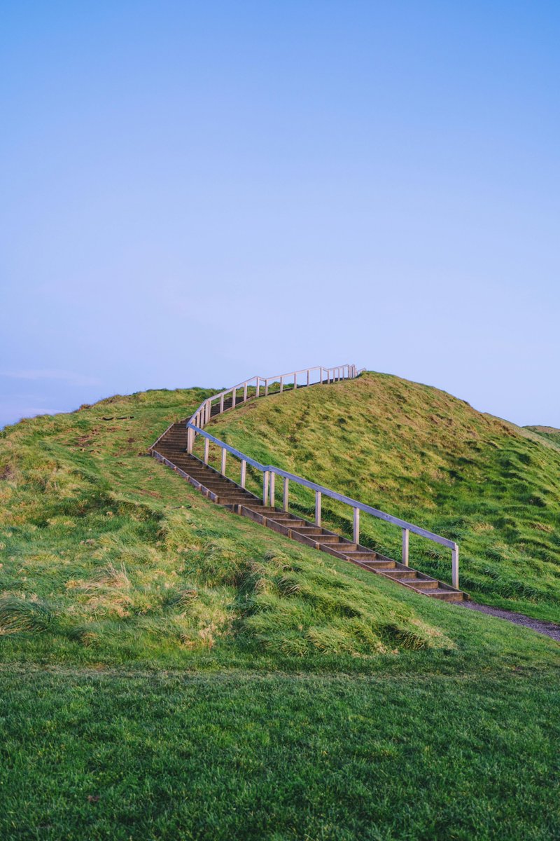 alex e bianquini tweet media