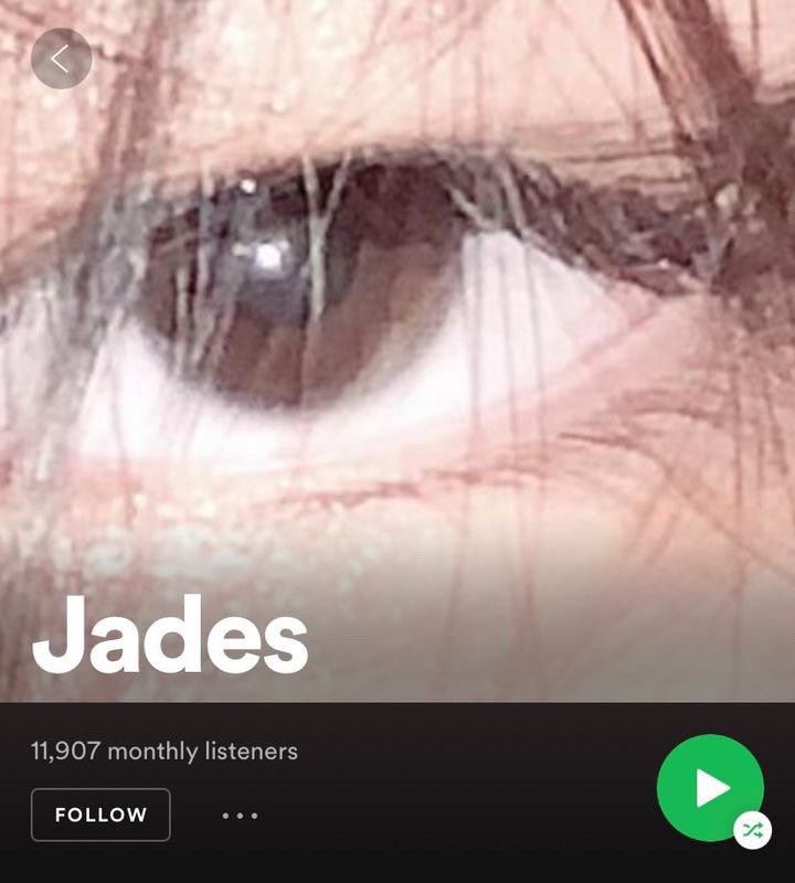 jades tweet media