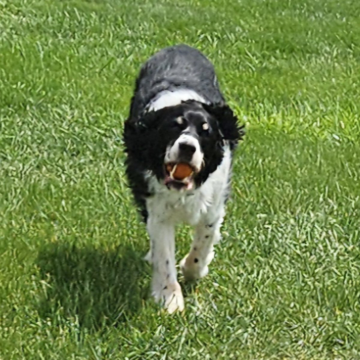 Carrie🐘 tweet media