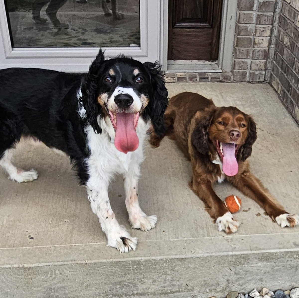 Carrie🐘 tweet media