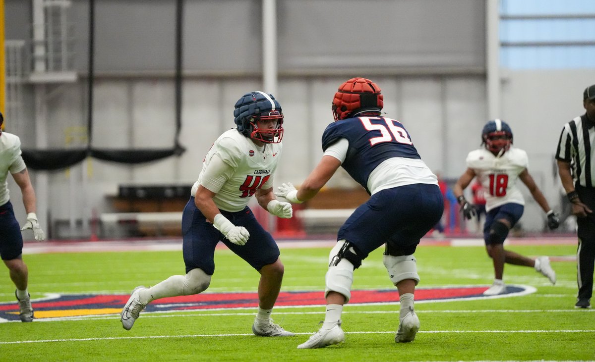 Sights 👀 from the 2⃣0⃣2⃣6⃣ Spring Game‼️

#BeaksUp | #GoCards