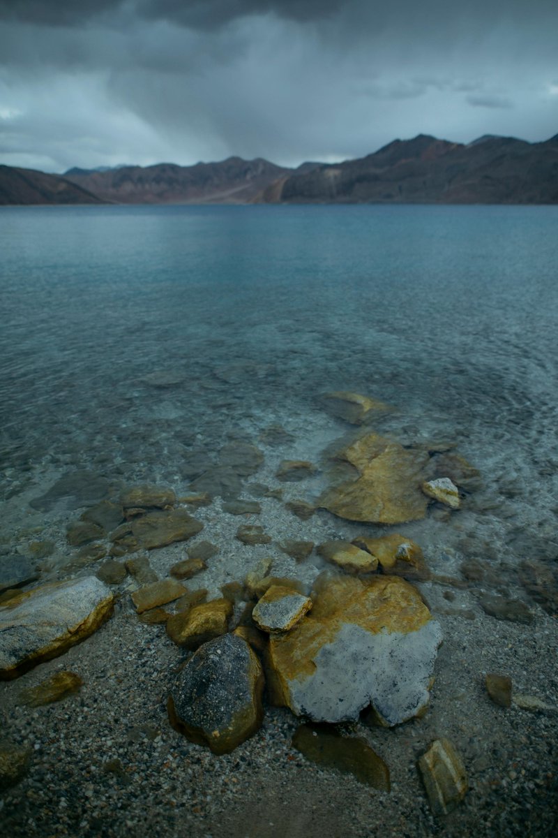 FrankAlbert tweet media