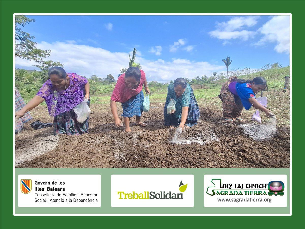 SagradaT's tweet photo. Gracias a @GOIB_Social y @treballsolidari se implementan capacitaciones para la promoción de sistemas de producción agroecológica para garantizar el acceso y disponibilidad a la alimentación a familias en comunidades de Raxruhá, Alta Verapaz. https://t.co/kOnR39i2CC