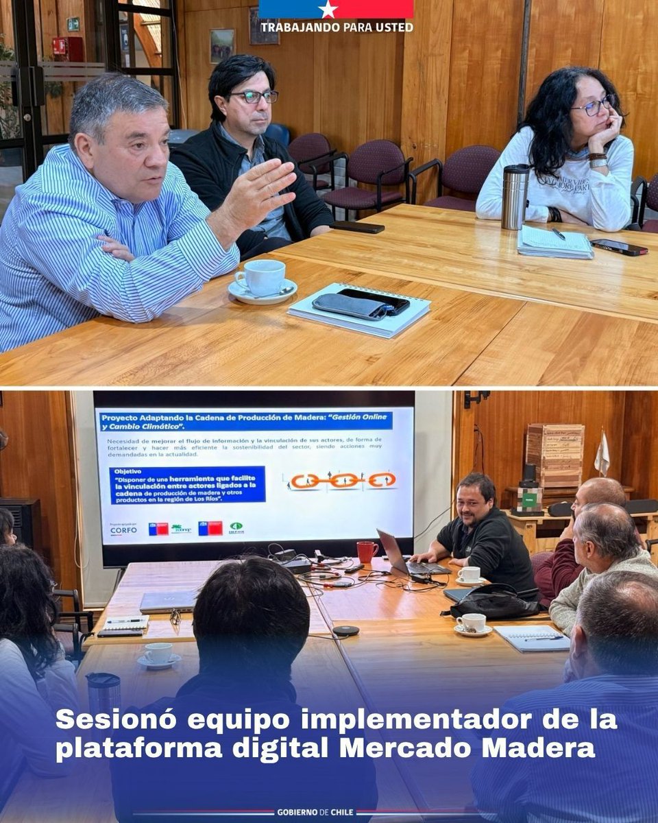 Instituto Forestal tweet media