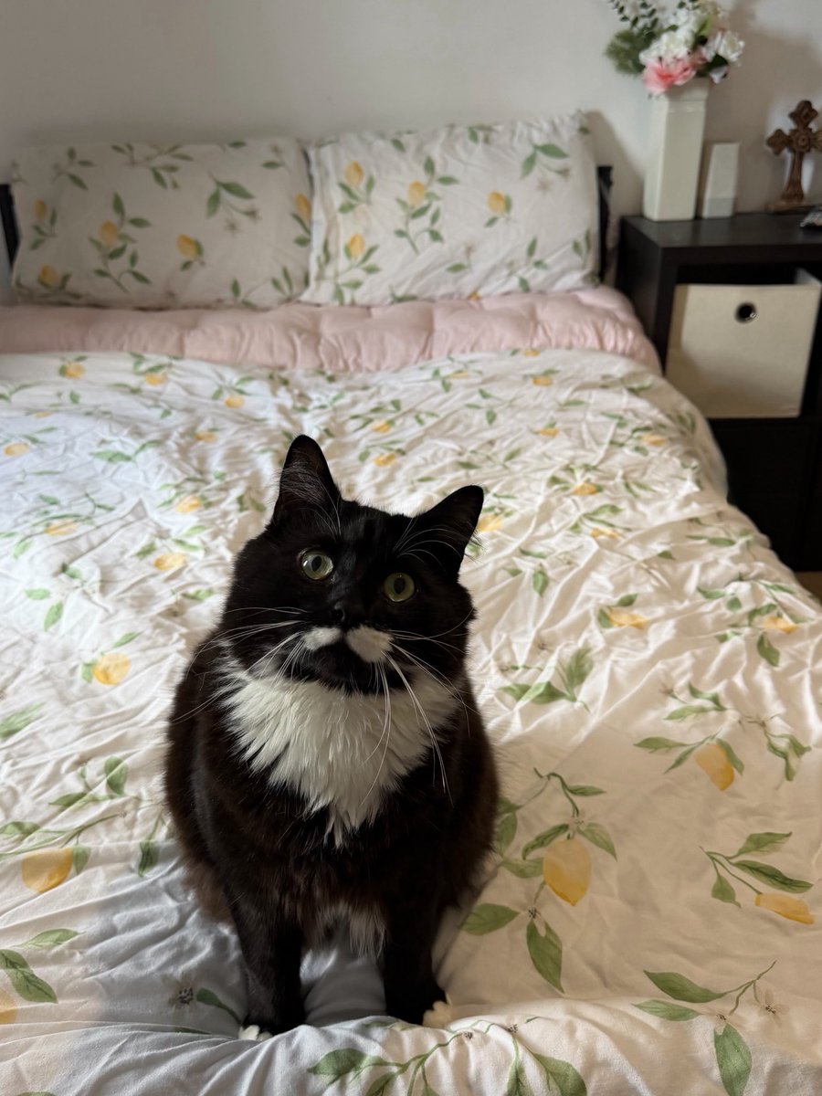 ri ⋆˙⟡ tweet media