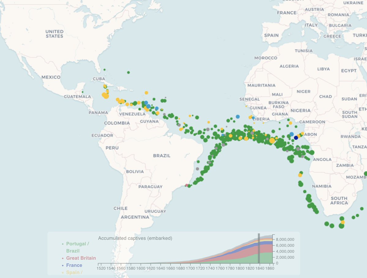 Alice Evans tweet media