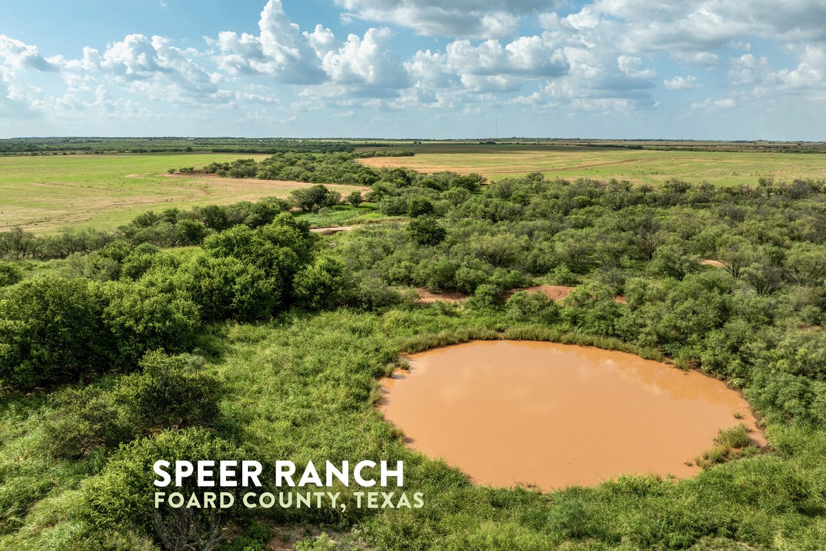CSMlandbroker's tweet image. ♦SOLD!♦
Speer Ranch
650± acres
Foard Co, TX
csmandson.info/Speer

Call today &amp;amp; get your ranch marketed &amp;amp; sold!

Dane Mount
940.839.6247

#csmandson #forsale #hunting #land #ranch #ranching #ranchforsale #realestateinvesting #texasranch #followers #foard #crowell #followers