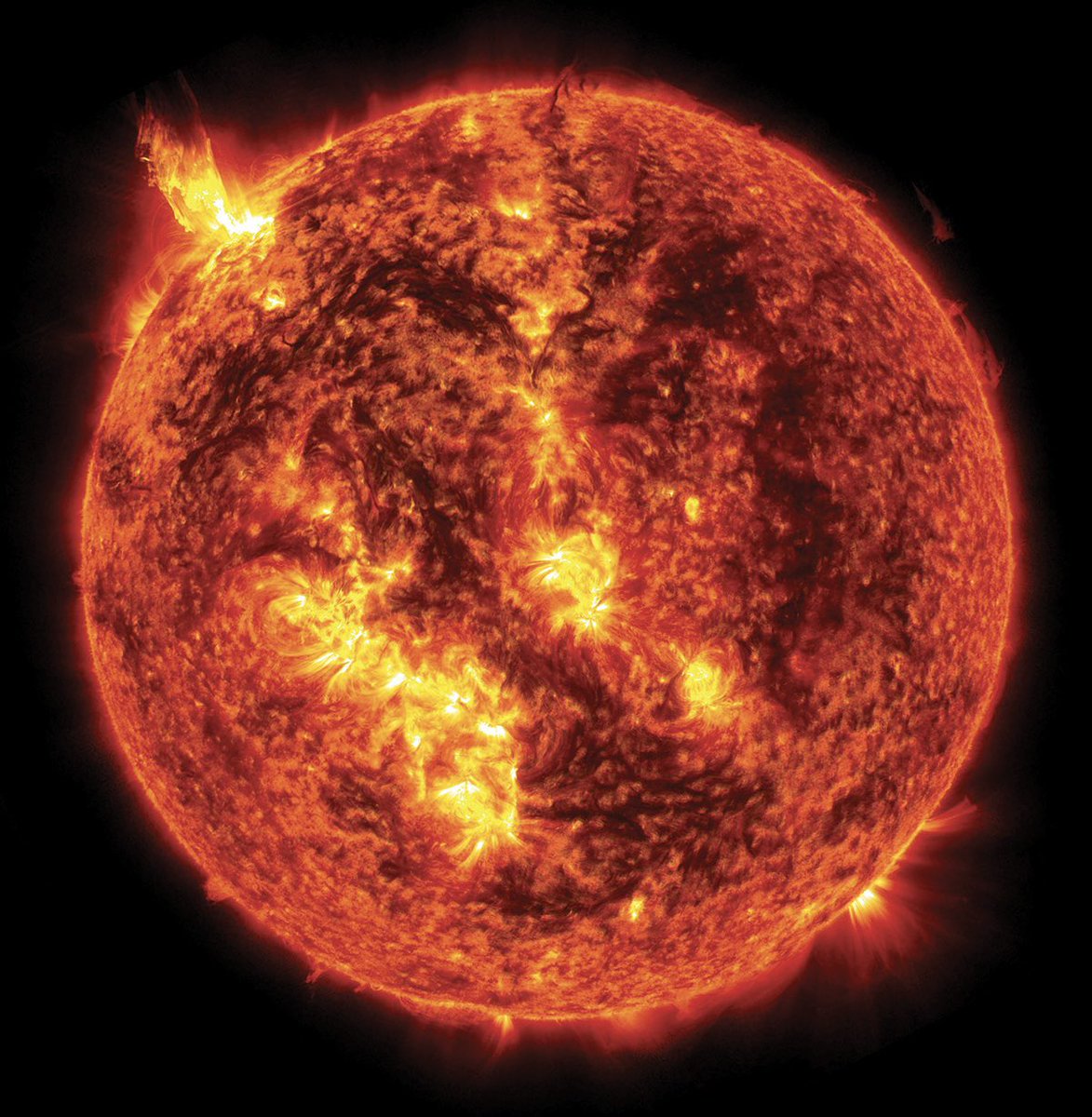 Alan Nutter tweet media