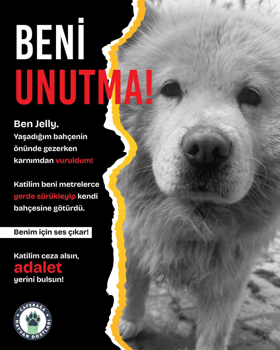 Boris Cansin tweet media