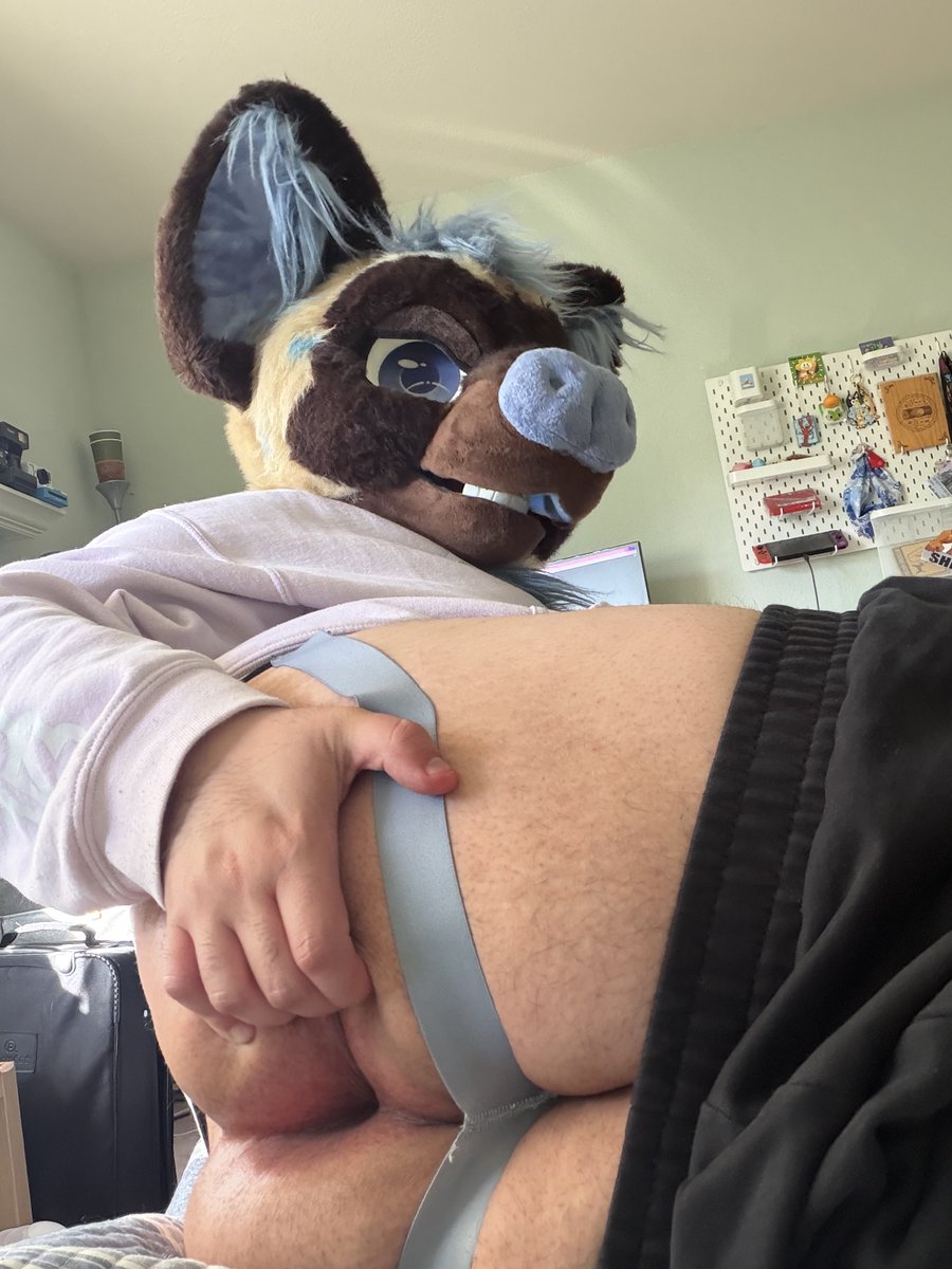 🔞Shiba time🔞 tweet media