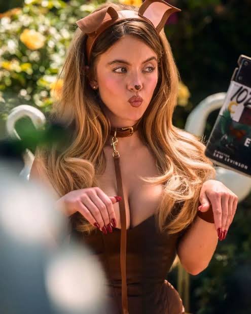 Shogun Trades tweet media