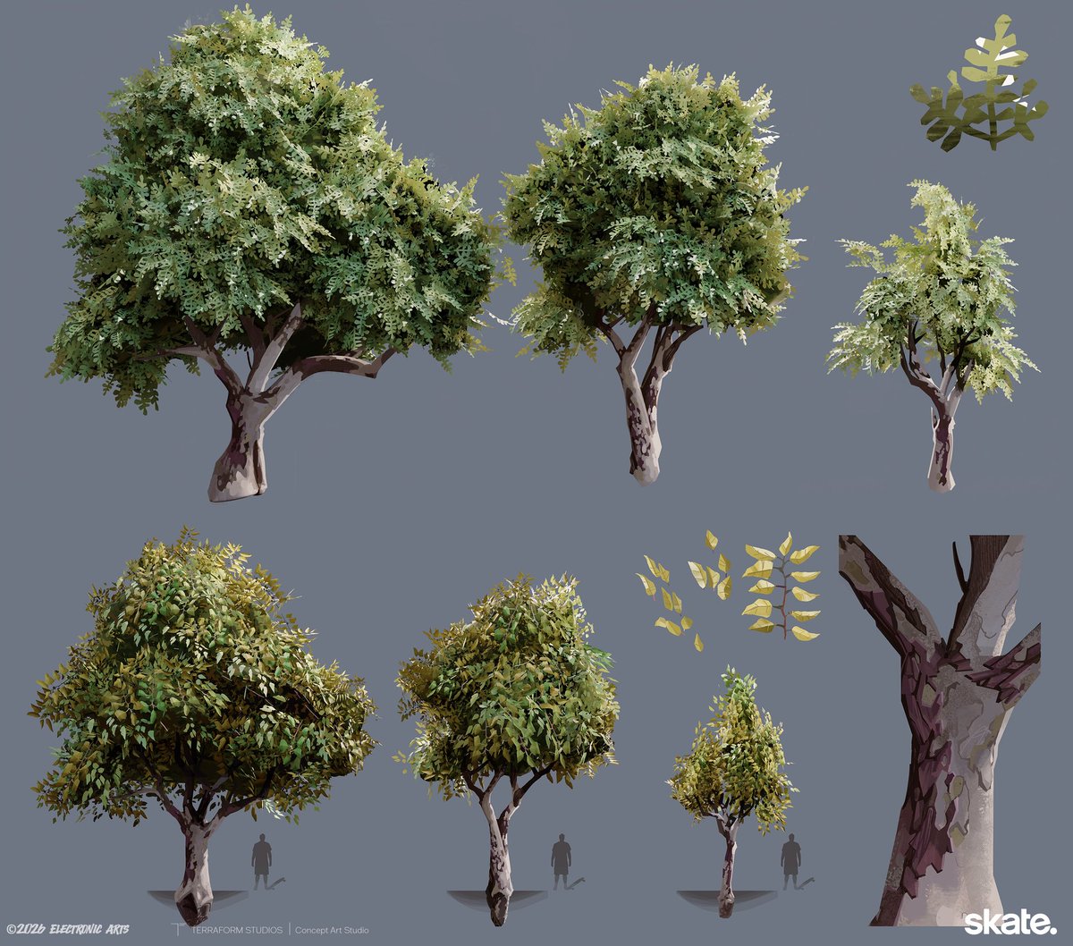 terraformart's tweet image. For #Skate, we explored a variety of styles for both the buildings and vegetation. These studies helped influence how the style of the game could take shape.

Art Director: Lance Ridenoure

Concept Artists: Jonas Hassibi and Oscar Gregeborn

Creative Director: @fmacmanus 

#art