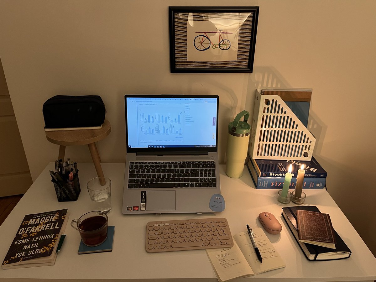 nevzsblog tweet media