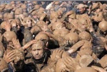 فيصل بن ناصر tweet media