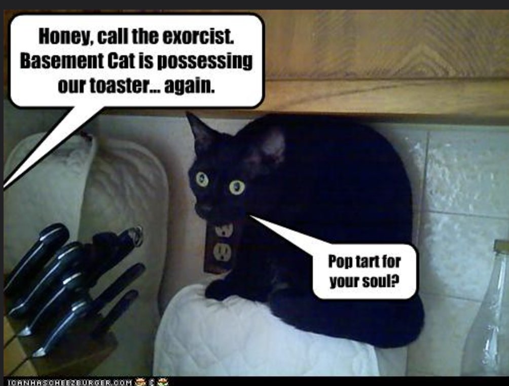 CatMacroz's tweet image. 