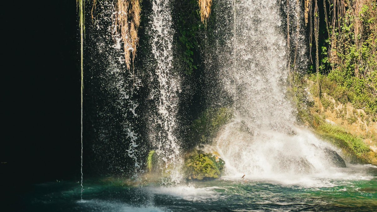 Cathy Grace Calataro tweet media