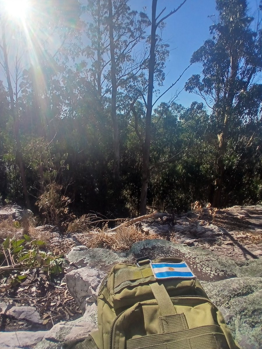 Jacques de Mahieu 🇦🇷 tweet media