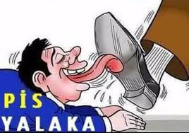 Turan Çelik tweet media