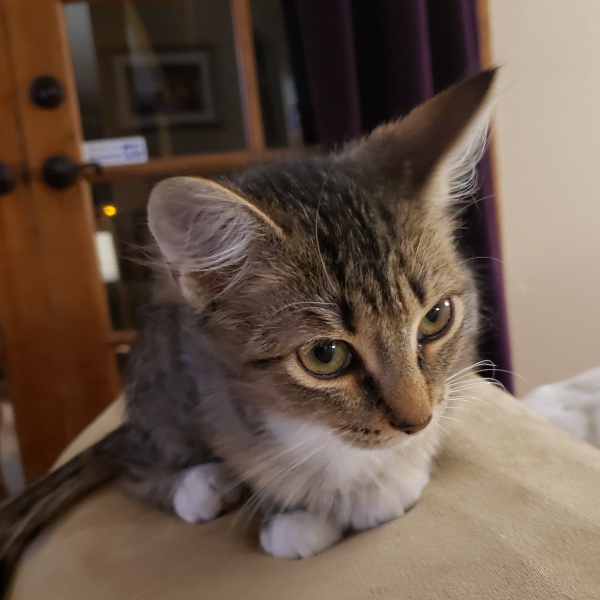 Scott Smith tweet media