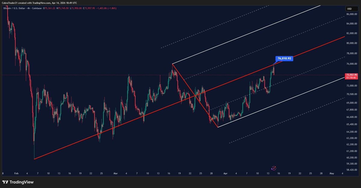 CobraTrader - 0.31 tweet media