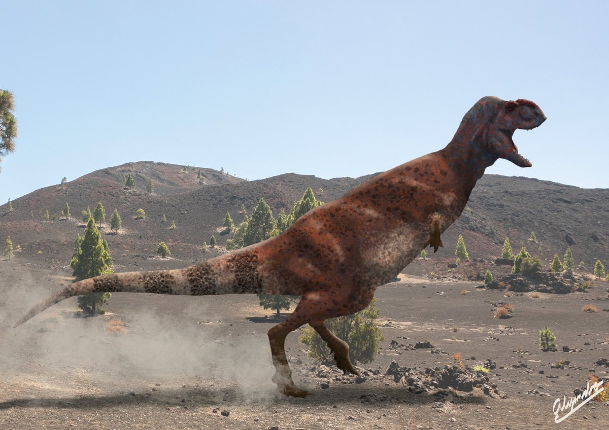 AlejandroParha2's tweet photo. Pycnonemosaurus nevesi https://t.co/EoWfV6heQQ