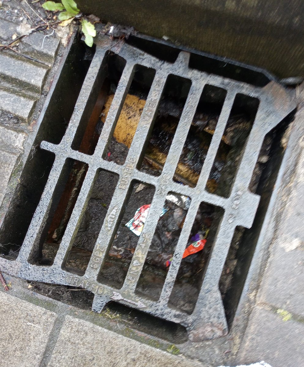 CaerphillyHog's tweet image. Dan was rescued on 5/4, 657g, from a street drain he had got trapped in. Luckily, our lead carer was able to free him.  Dan was understandably stressed &amp;amp; his nails were worn down from him trying to get out. He's receiving tlc and treatment from us &amp;amp; is now 710g.
#hedgehog #Dan