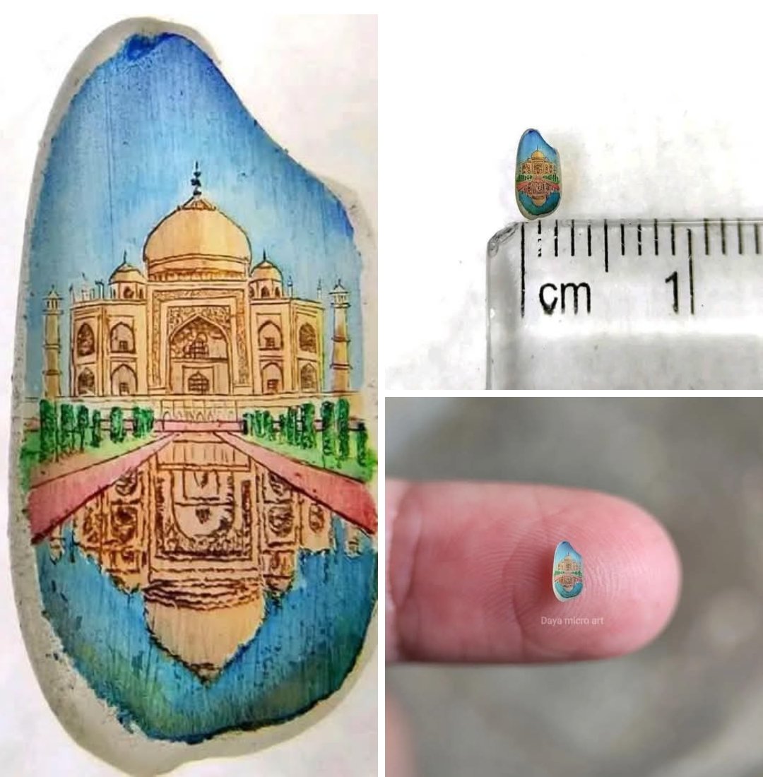 World's Amazing Things tweet media