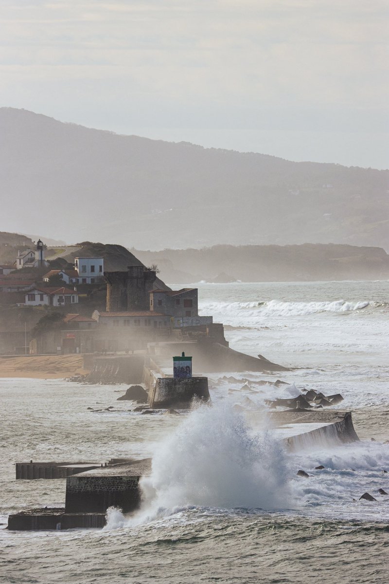 Tom Citoleux tweet media