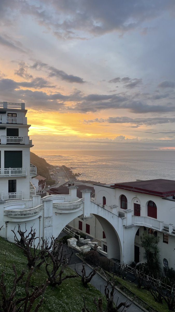 Tom Citoleux tweet media