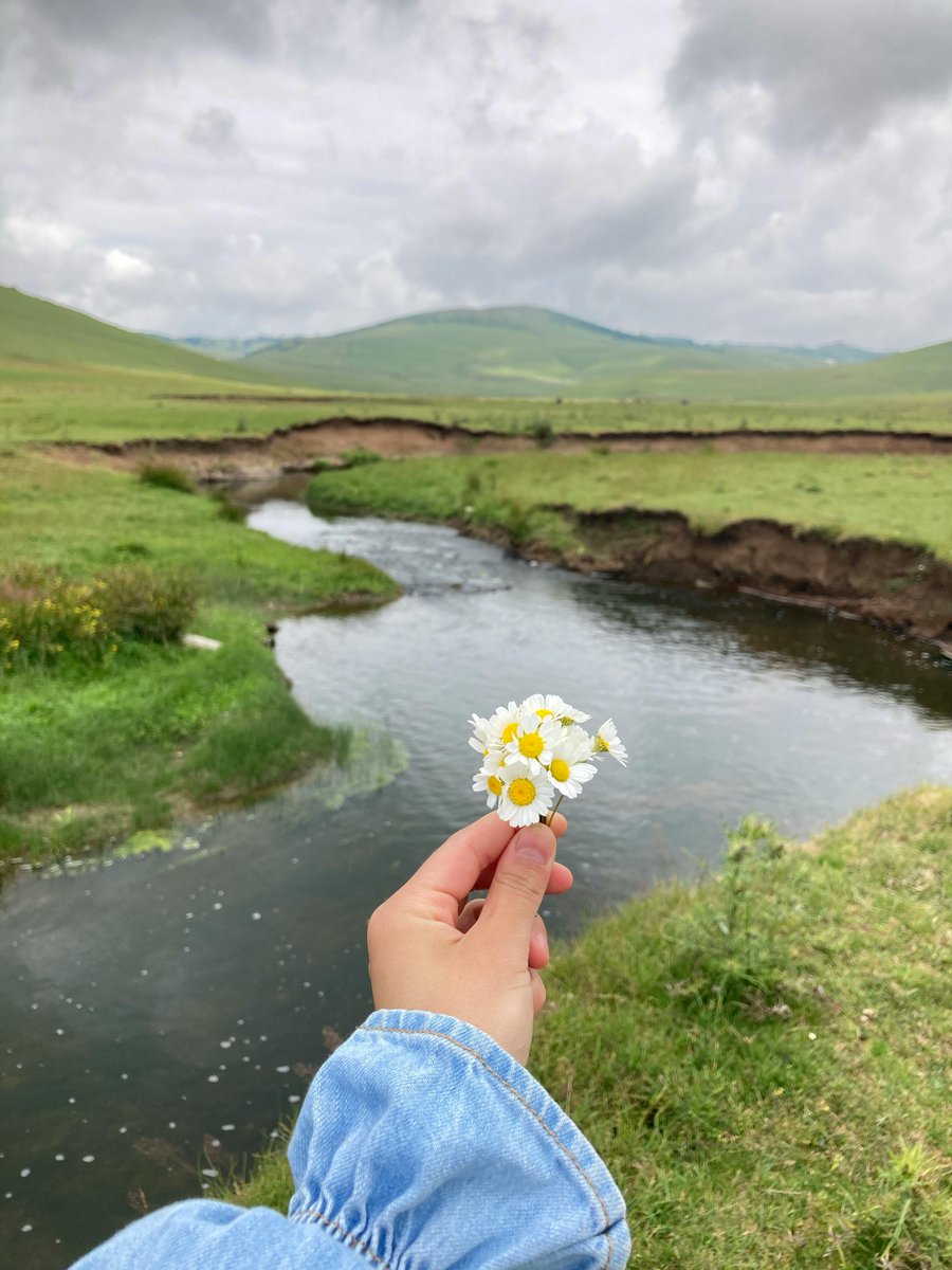 james bryan acain tweet media