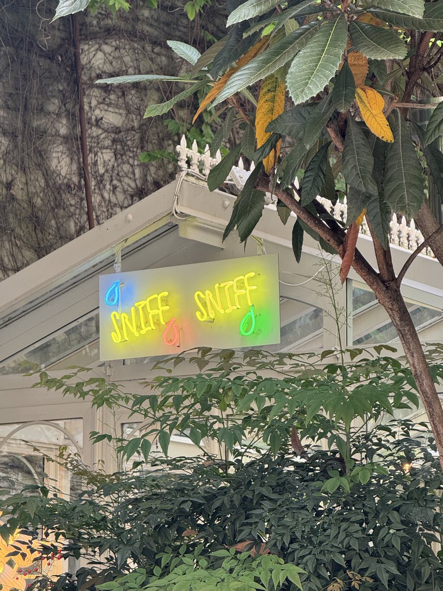 Garden of delight. Smell and tell.