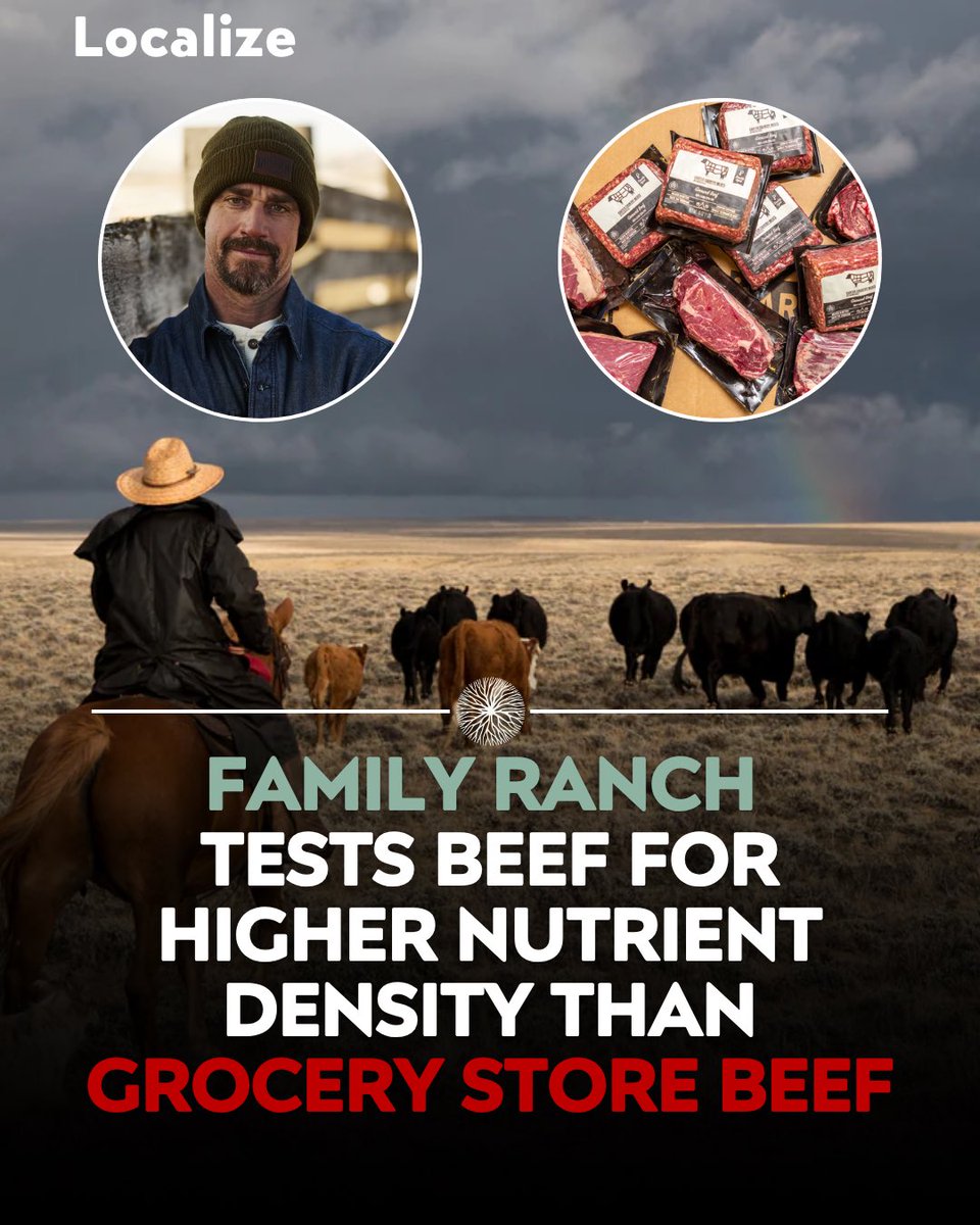 Localize - Farmers Market tweet media