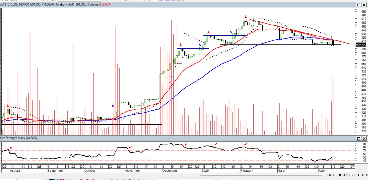 Maragume tweet media