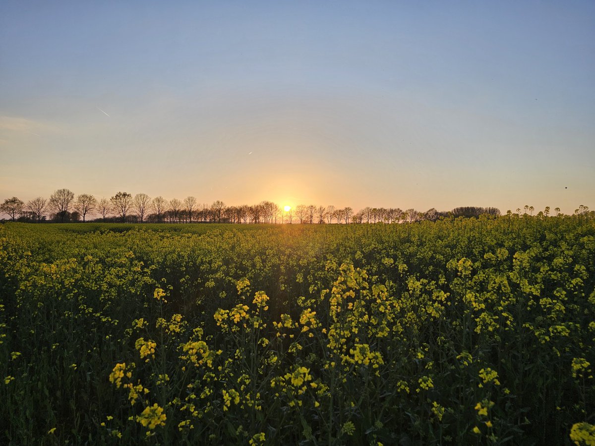 Geurt van Roekel tweet media